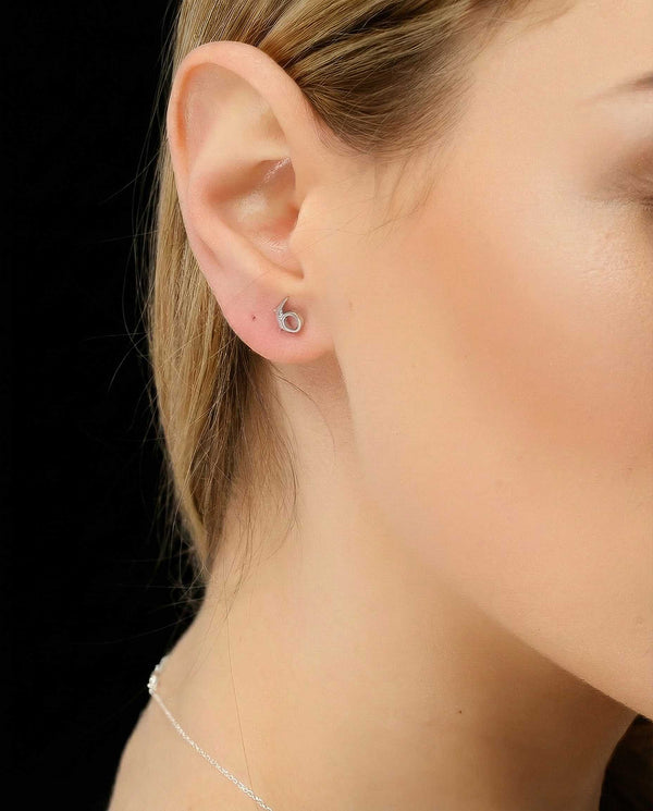 Capricorn zodiac earrings sterling silver 925 Swarovski crystals – close up | LoveYours Collection