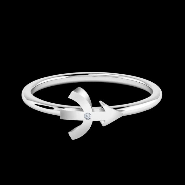 Star sign ring sterling silver zodiac – front view | LoveYours Collection