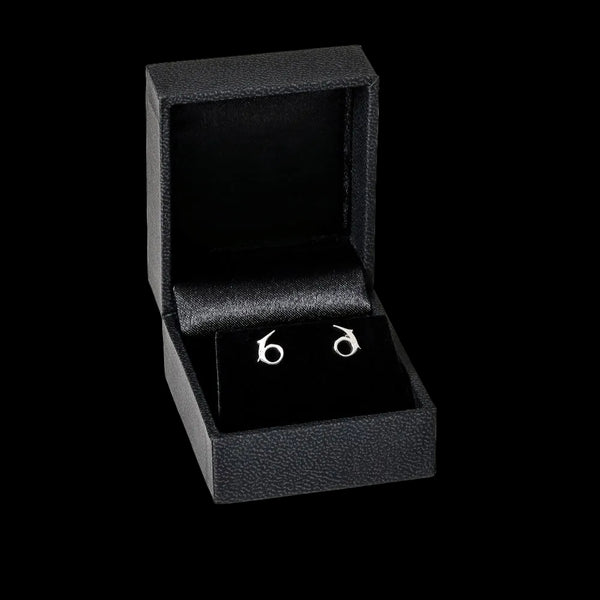 Capricorn zodiac earrings sterling silver 925 Swarovski crystals – gift box presentation | LoveYours Collection