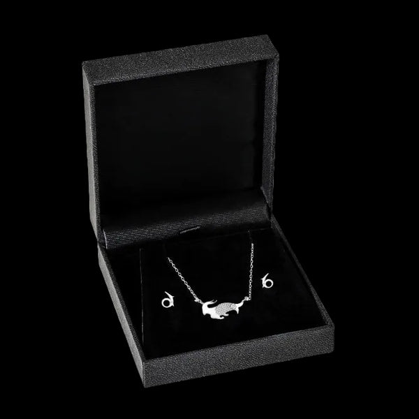 Capricorn jewellery gift box set sterling silver 925 necklace and earrings | LoveYours Collection