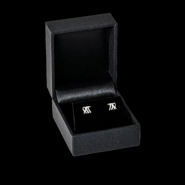 Virgo zodiac earrings sterling silver 925 Swarovski crystals – gift box presentation | LoveYours Collection